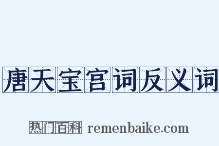 唐天宝宫词反义词是什么意思的图片
